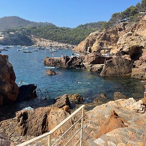 Apartment In Cap Sa Sal
